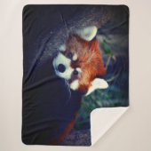 Roter Panda Sherpadecke (Vorderseite)