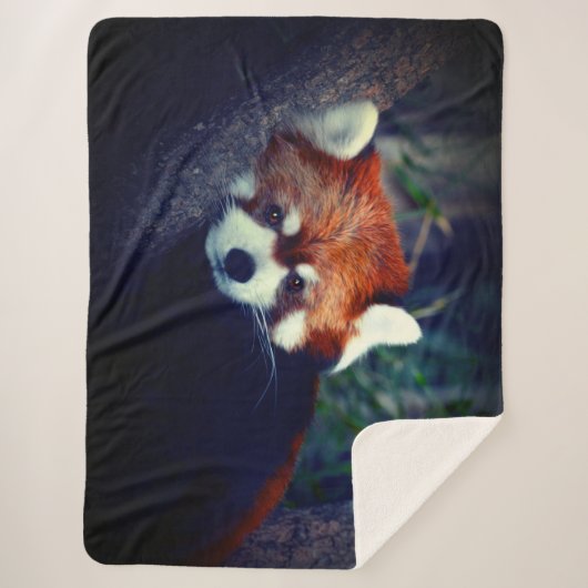Roter Panda Sherpadecke (Vorderseite)
