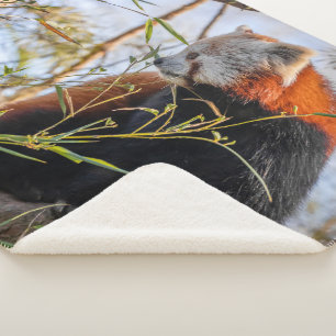 Roter Panda Sherpadecke