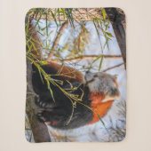 Roter Panda Sherpadecke (Vorderseite)