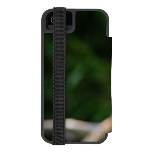 Roter Panda sitzt auf schneebedecktem Log Incipio iPhone Geldbeutel-Hülle (Folio Rückseite)