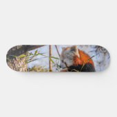 Roter Panda Skateboard (Horizontal)