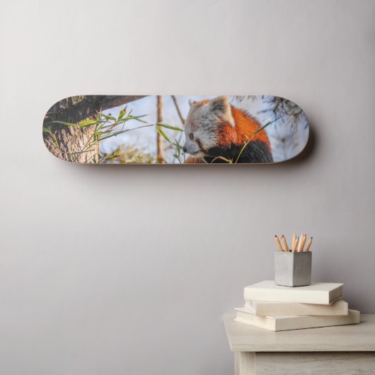 Roter Panda Skateboard (Wandkunst (Horz))