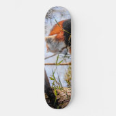 Roter Panda Skateboard (Vorderseite)