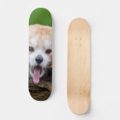 Roter Panda Skateboard (Vorderseite)