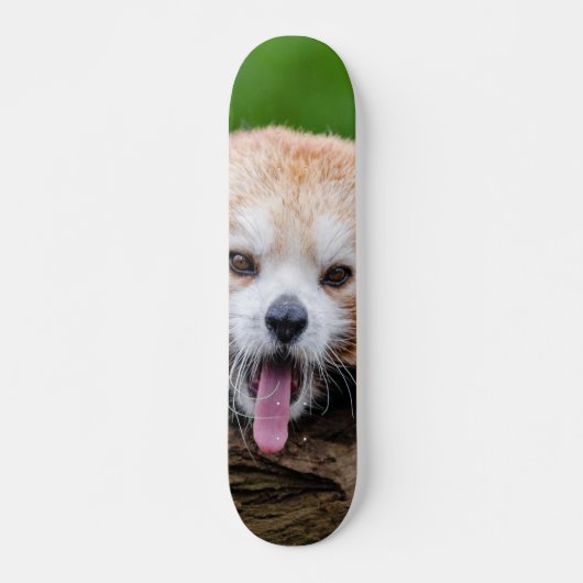 Roter Panda Skateboard (Vorne)
