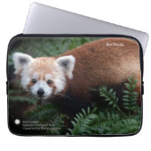 Roter Panda Smithsonian | Laptopschutzhülle (Vorderseite)