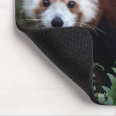 Roter Panda Smithsonian | Mousepad (Ecke)