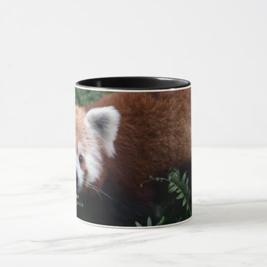 Roter Panda Smithsonian | Tasse (Zentrum)