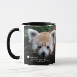 Roter Panda Smithsonian   Tasse