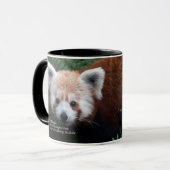 Roter Panda Smithsonian | Tasse (Vorderseite Links)