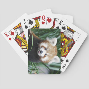 Roter Panda-Spielkarten Spielkarten