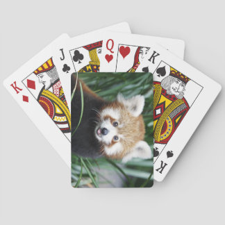 Roter Panda-Spielkarten Spielkarten