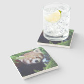 Roter Panda Steinuntersetzer (Seitenansicht)