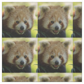 roter Panda Stoff (Muster)