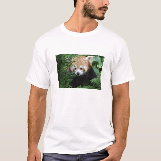 Roter Panda-T - Shirt (Vorderseite)