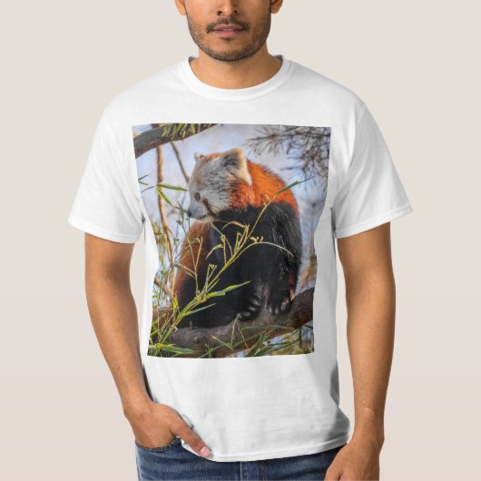 Roter Panda T-Shirt (Vorderseite)