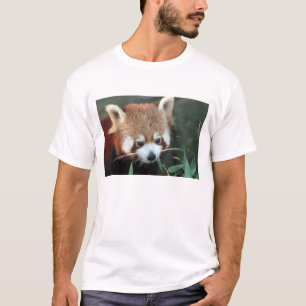 Roter Panda, Taronga Zoo, Sydney, Australien T-Shirt
