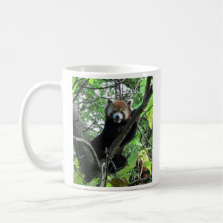 Roter Panda-Tasse Kaffeetasse