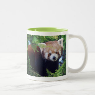 Roter Panda-Tasse Zweifarbige Tasse