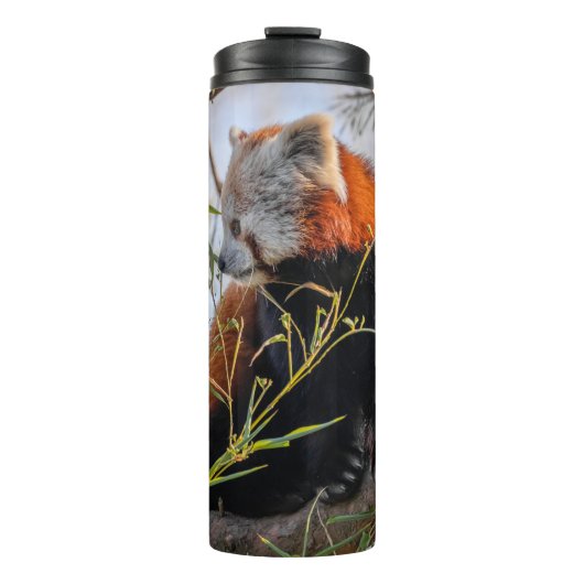 Roter Panda Thermosbecher (Vorderseite)