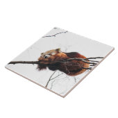 Roter Panda-Tile/Trivet Fliese (Seite)