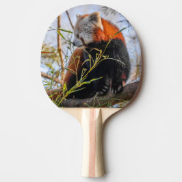 Roter Panda Tischtennis Schläger