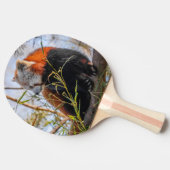 Roter Panda Tischtennis Schläger (Seitenansicht)