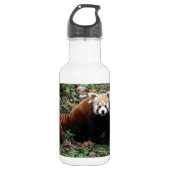 Roter Panda Trinkflasche (Vorderseite)