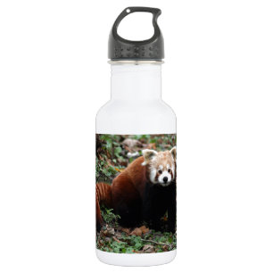 Roter Panda Trinkflasche