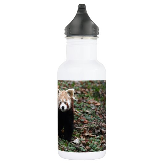 Roter Panda Trinkflasche (Rechts)