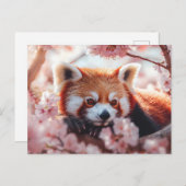 Roter Panda unter den Kirschblüten Feiertagspostkarte (Vorne/Hinten)