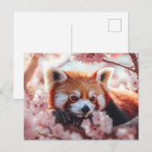 Roter Panda unter den Kirschblüten Postkarte (Vorne/Hinten)