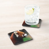 Roter Panda Untersetzer (Rechte Seite)