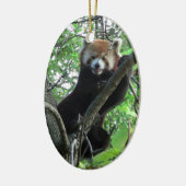Roter Panda-Verzierung ~ Arten-Reihe Keramik Ornament (Links)
