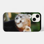 Roter Panda Wildtier iPhone Hülle (Rückseite (Horizontal))