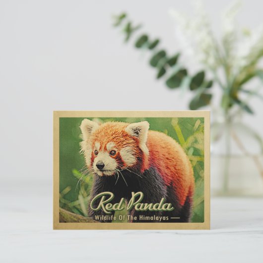 Roter Panda - Wildtiere im Himalaya Postkarte (Stehend Vorderseite)