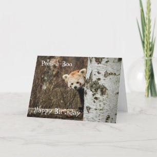 Roter Panda zum Geburtstag Karte