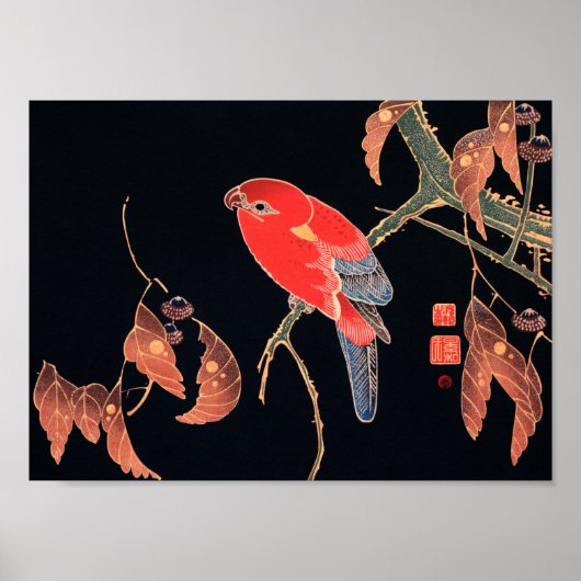 Roter Papagei am Zweig eines Baumes von Ito Jakuch Poster (Vorne)