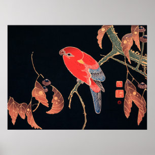 Roter Papagei auf einem Baumzweig von Ito Jakuchu Poster