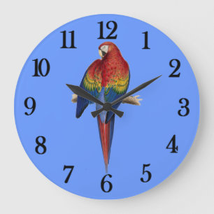 Roter Papagei Blauer Hintergrund Große Wanduhr