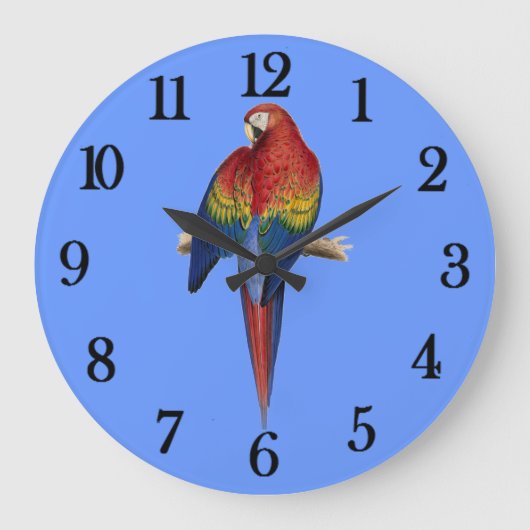 Roter Papagei Blauer Hintergrund Große Wanduhr (Vorderseite)