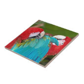 Roter Papagei Fliese (Seite)