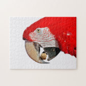 Roter Papagei mit Erdnuss Puzzle (Horizontal)