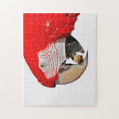 Roter Papagei mit Erdnuss Puzzle (Vertikal)