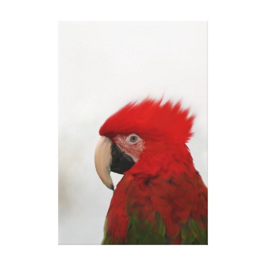 Roter Papagei Mit Mohawk Funny Kunstlerisch Bird A Leinwanddruck Zazzle De