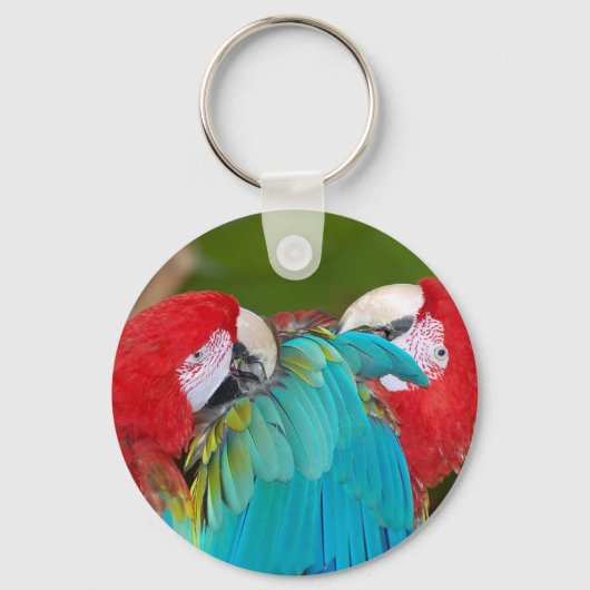 Roter Papagei Schlüsselanhänger (Vorderseite)