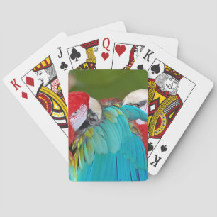 Roter Papagei Spielkarten