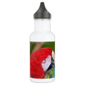 Roter Papagei Trinkflasche (Links)