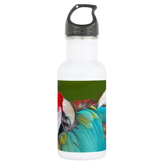 Roter Papagei Trinkflasche (Vorderseite)